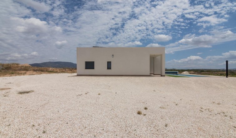 Obra nueva - Villa - Pinoso - Lel