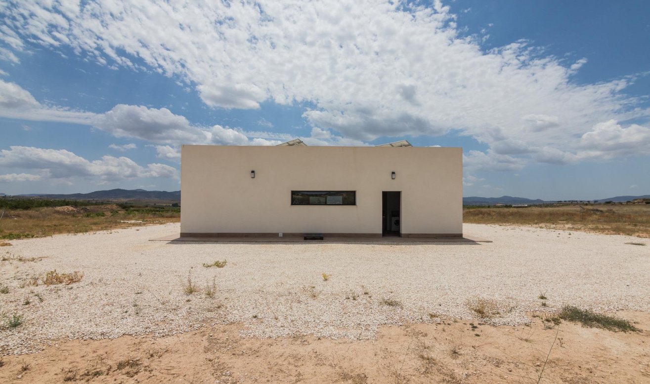 Obra nueva - Villa - Pinoso - Lel