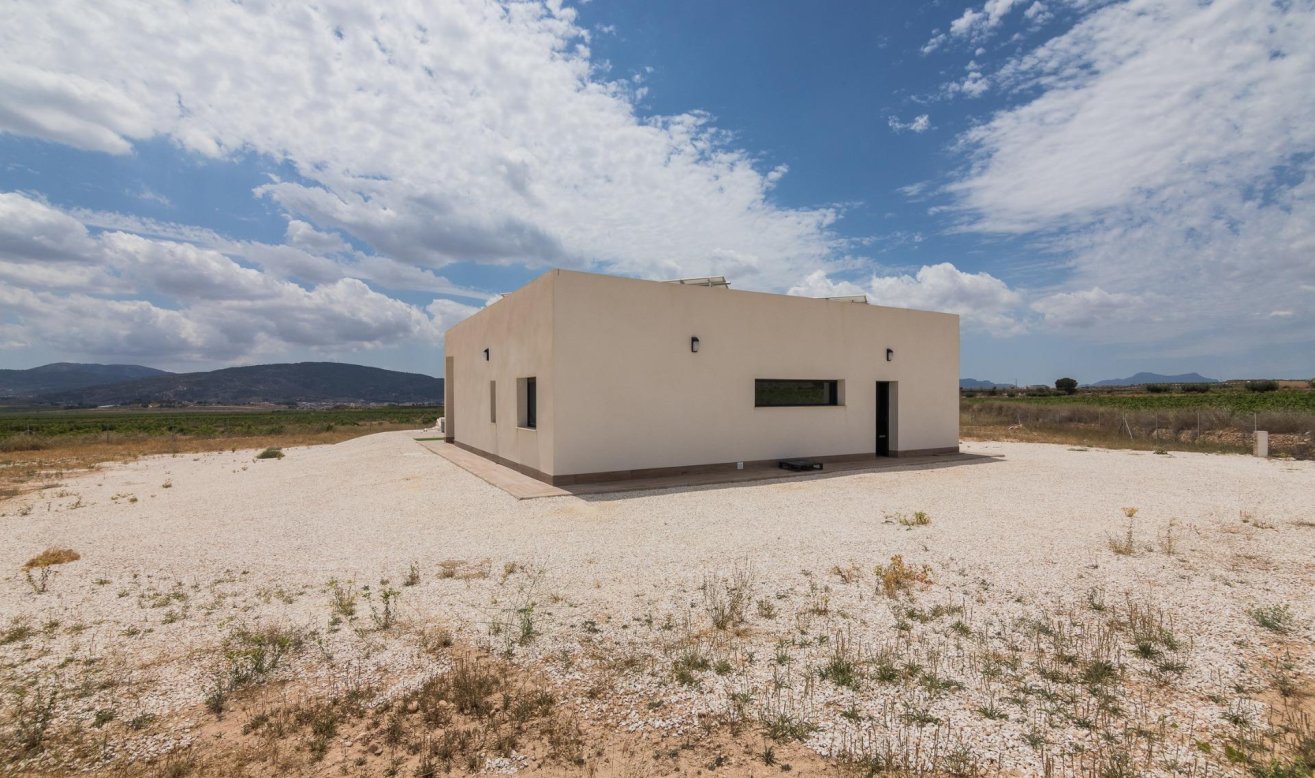 Obra nueva - Villa - Pinoso - Lel