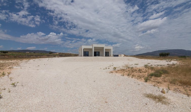 Obra nueva - Villa - Pinoso - Lel