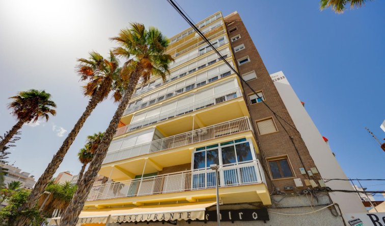 Revente - Duplex - Torrevieja - torrevieja