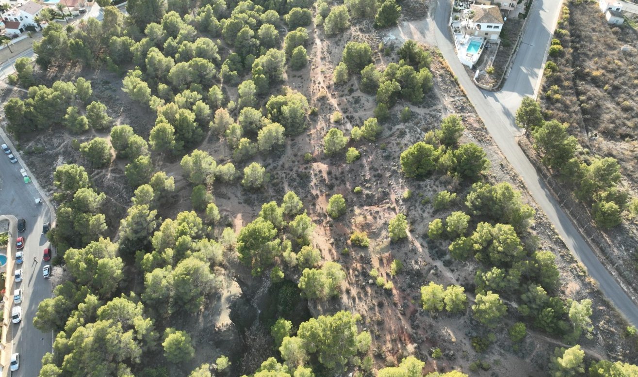 Obra nueva - Villa - Alfas del Pí - Escandinavia