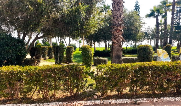 Reventa - Apartamento / piso - Oropesa del Mar - Orpesa - Oropesa del Mar
