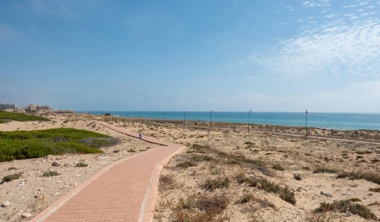 New Build - Penthouse - Torrevieja - La Mata